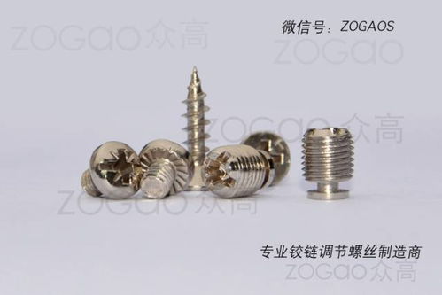 揭東縣埔田鎮(zhèn)東春五金制品廠(chǎng)是一家新型鉸鏈調(diào)節(jié)螺絲生產(chǎn)廠(chǎng)家