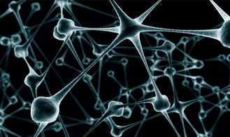 智能合約的核心執(zhí)行原理與人工智能基礎(chǔ)軟件開發(fā)