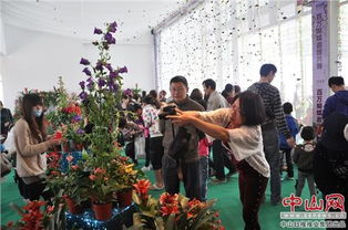 花海灣百萬蝴蝶展 邀您共舞花的海洋，蝶的盛宴