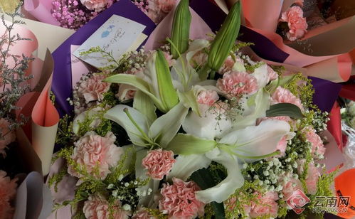 康乃馨芬芳里的感恩與商機 母親節鮮花禮品市場熱潮解析