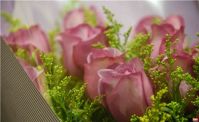 情人節(jié)合肥鮮花市場(chǎng)“一片紅火”，禮品花卉銷售火爆