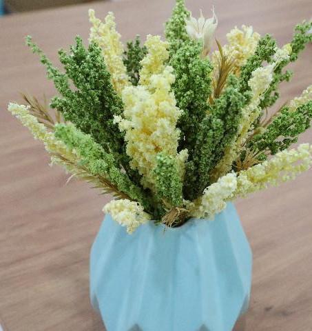 奮進(jìn)新征程 建功新時(shí)代 | “90后”返鄉(xiāng)青年 一根網(wǎng)線，讓家鄉(xiāng)花卉走向世界