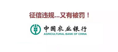 征信信息豈能被不當觸碰 從農行再遭處罰看金融個人信息保護之重